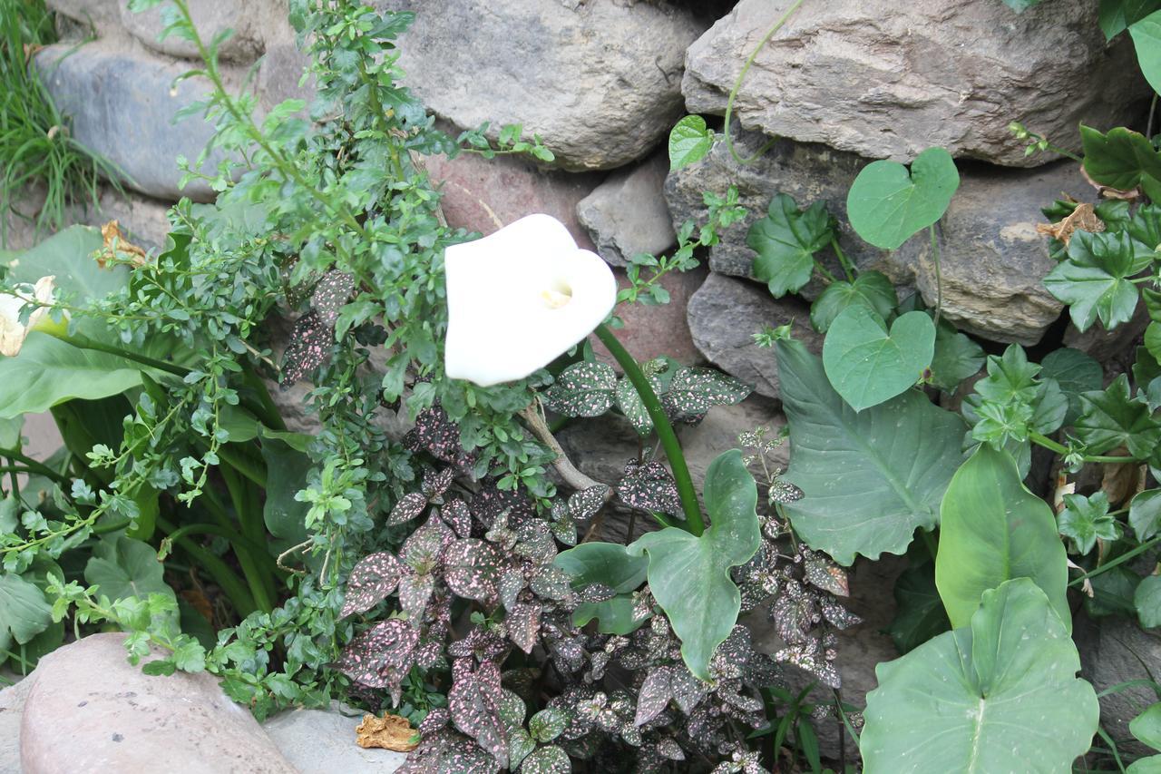 Killari B&B Ollantaytambo Exterior foto